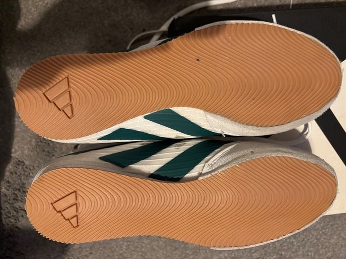 Adidas box hog 4 boxing boots