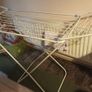 Vintage Rattan Tub Chair Image 4