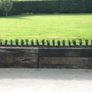 Box Hedging Image 5