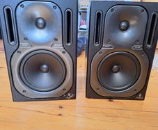 Behringer B2030P Monitors