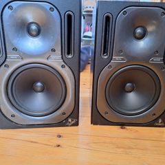 Behringer B2030P Monitors