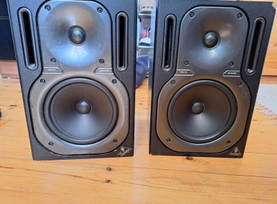 Behringer B2030P Monitors