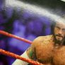 wwe elite royal rumble Cm Punk action figure Image 10