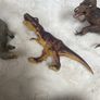 Schleich dinosaur and crocodiles Image 6