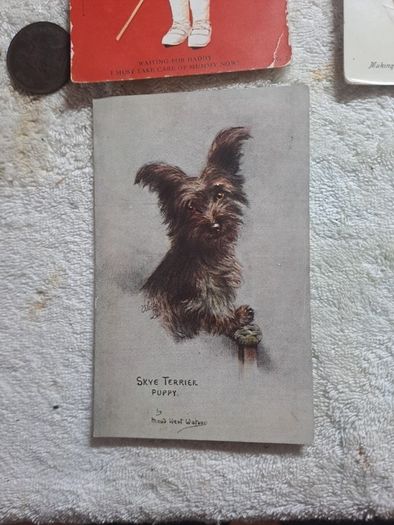 Historic Gore Booth postcards.