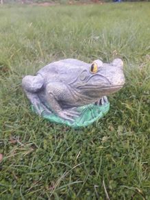 garden frog