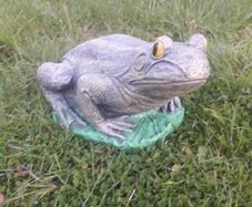 garden frog