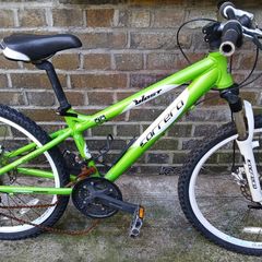 Carrera Blast Junior Bike