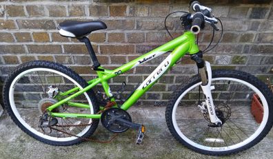 Carrera Blast Junior Bike