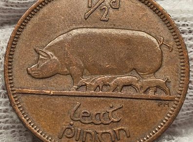 Ireland 1967 1/2d Halfpenny