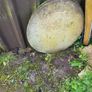 garden patio circle Image 2