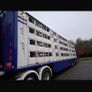 Pezzaioli Livestock trailer Image 5