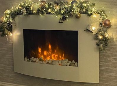 Electric fire
