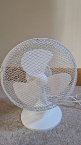 fan