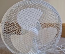 fan