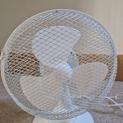 fan