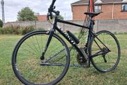 Giant Rapid Road Bike/reduced Price