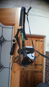 Greenguard Grazing Muscle and Headcollar,