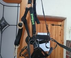 Greenguard Grazing Muscle and Headcollar,