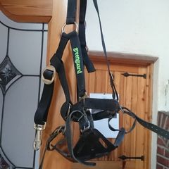 Greenguard Grazing Muscle and Headcollar,