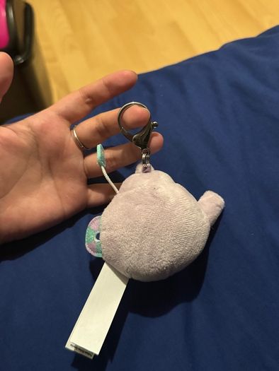 Pusheen surprise box keychain food