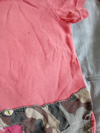 Mini Boden Crocodile Application
