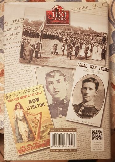 Irishmen In The Great War: Reports From The Front 1914 by Tom Burnell
