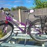 24in bike Image 2