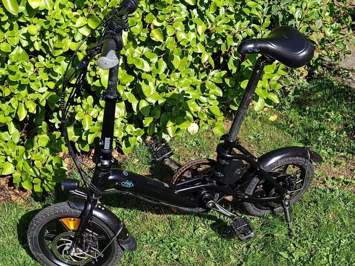 Fiido D3 Electric bike