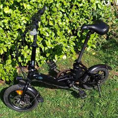 Fiido D3 Electric bike