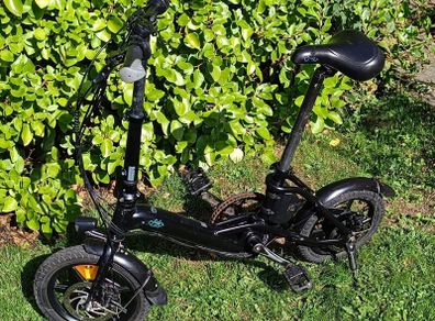 Fiido D3 Electric bike