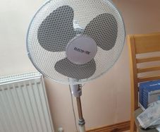 Electric Fan