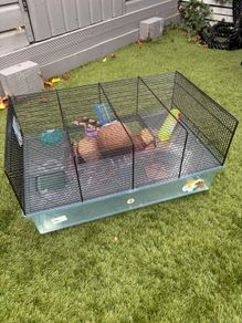 large hamster cage