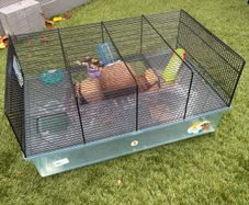 large hamster cage