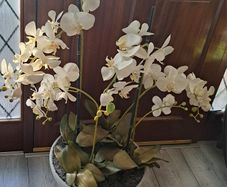 Artificial orchid plant in stone bowl