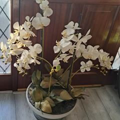 Artificial orchid plant in stone bowl