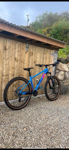 Marin Bobcat Trail 3