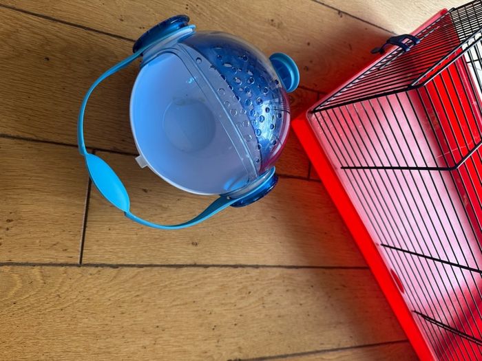 Hamster accessories - carrier.