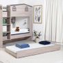 Bunk Beds Kids Bunk Double Bunk Bed IFS Furn Image 4