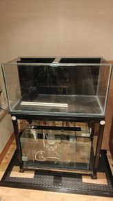 Reef Tank