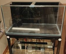 Reef Tank