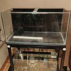 Reef Tank