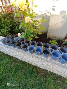 20x small plastic plant pot