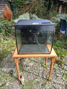 fish tank