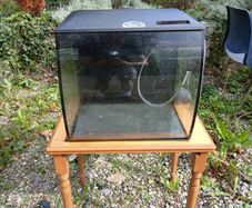 fish tank