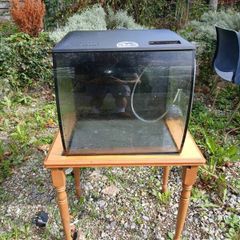 fish tank