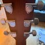 Martin Road Series Semi Acoustic Guitar GPC-10E Image 2