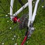 Custom Road Bike Image 3