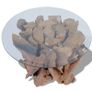 Coffee Table Solid Teak Driftwood 60 cm Image 4