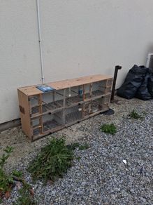 Breeding box  free to take away